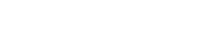 Logotipo de Special Olympics of New York en blanco.