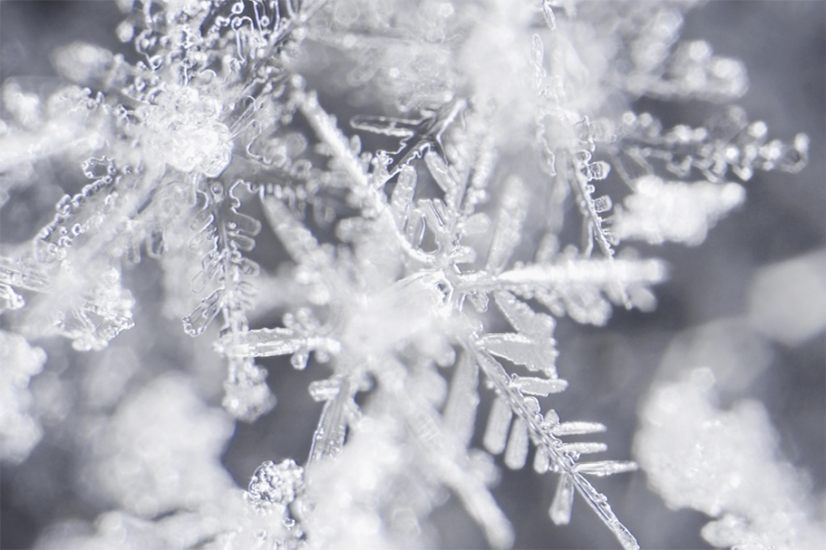 Survive and thrive during the holidays: A close up of snowflakes.