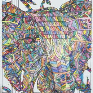 Colorful Elephant by Harry Holmes